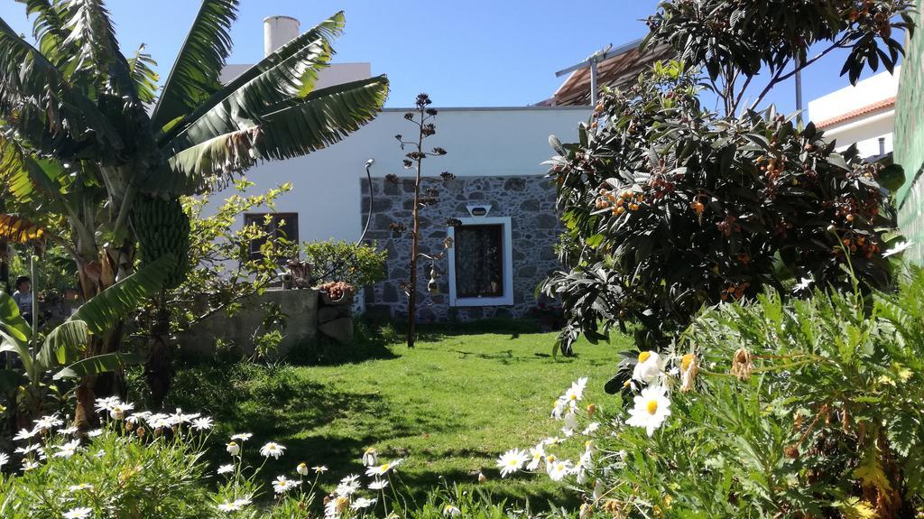 Villa Canaria Piscina Jacuzzi Jardin Santa Maria de Guia de Gran Canaria Exterior photo